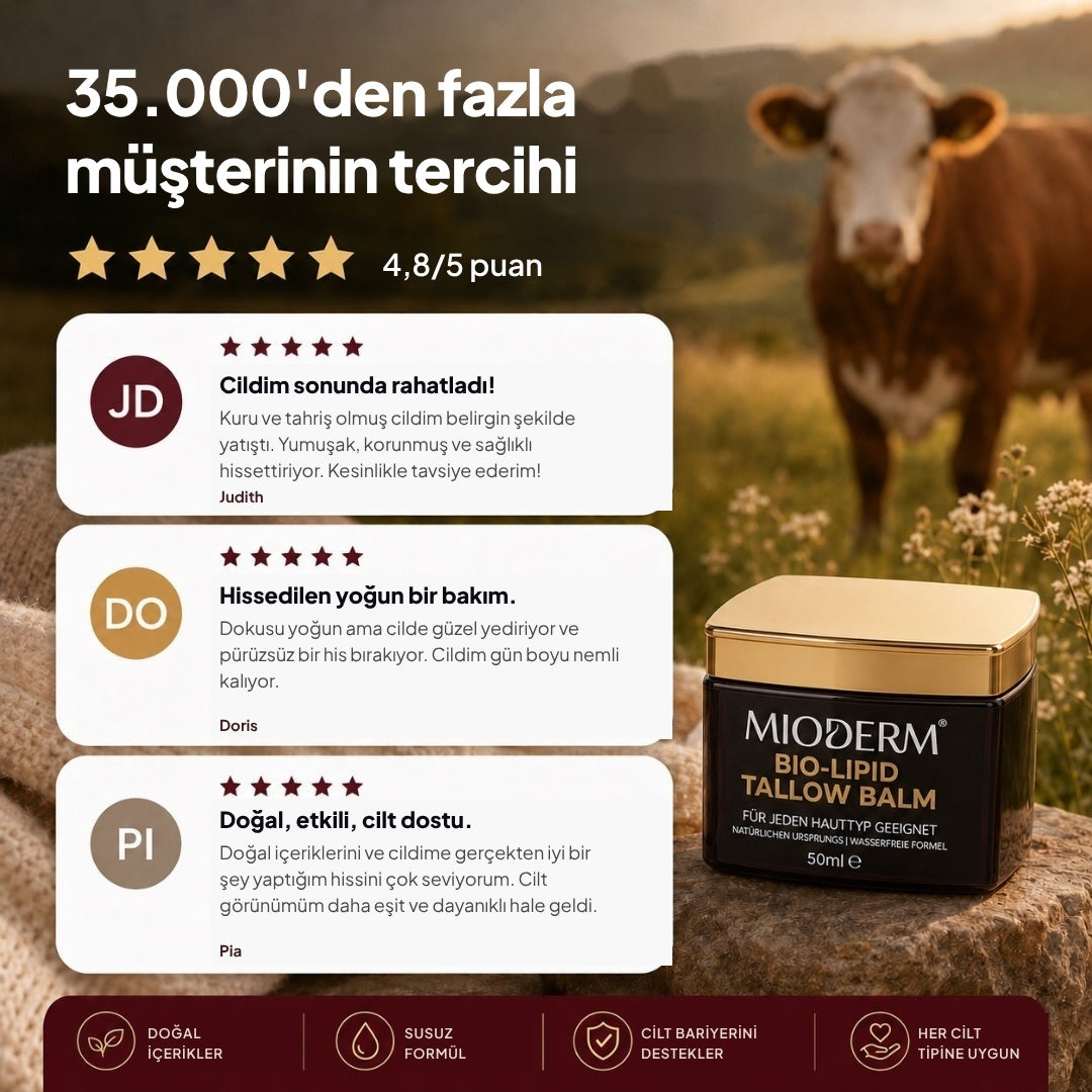 Müşteri yorumları ve 4,8/5 puan